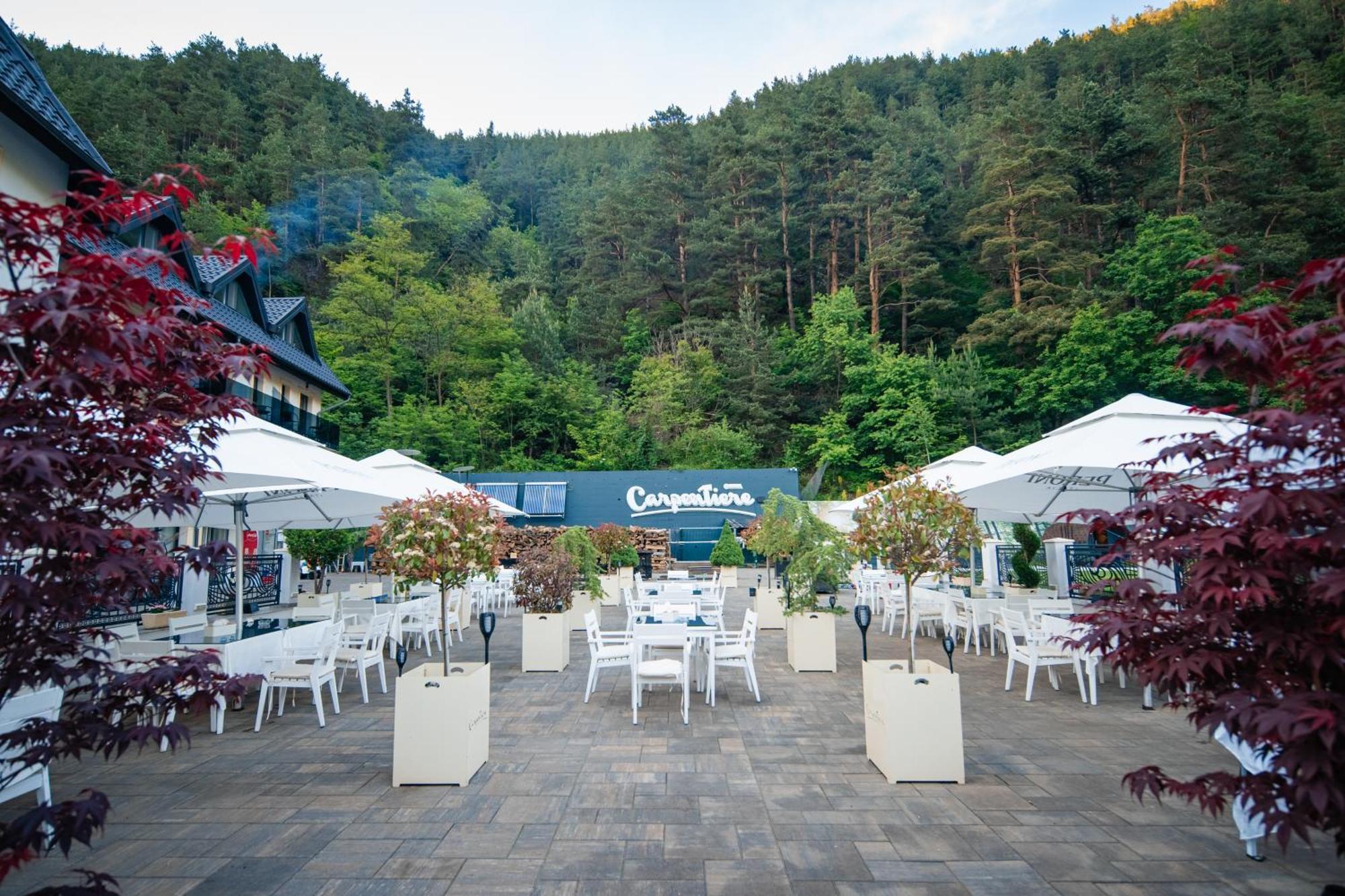 Carpentiere Arena Hotel Răşinari Exterior foto
